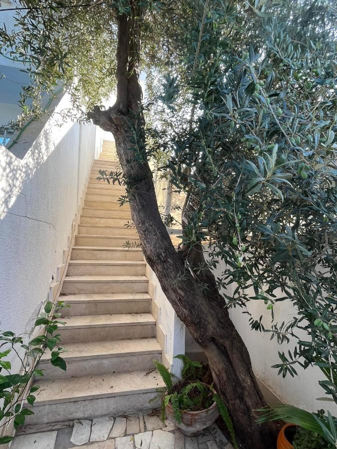 Luxeux Et Ideal A Marsa Plage Vue Sur Mer La Marsa Exterior foto